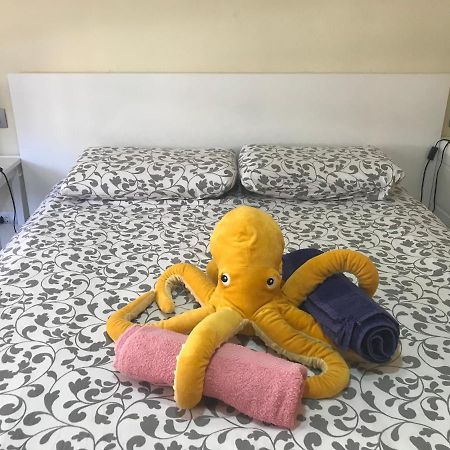 El Médano Medano Octopus Apartment المظهر الخارجي الصورة